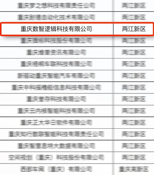 亞信科技旗下數智邏輯入選首批重慶市軟件和信息服務業‘滿天星’示范企業